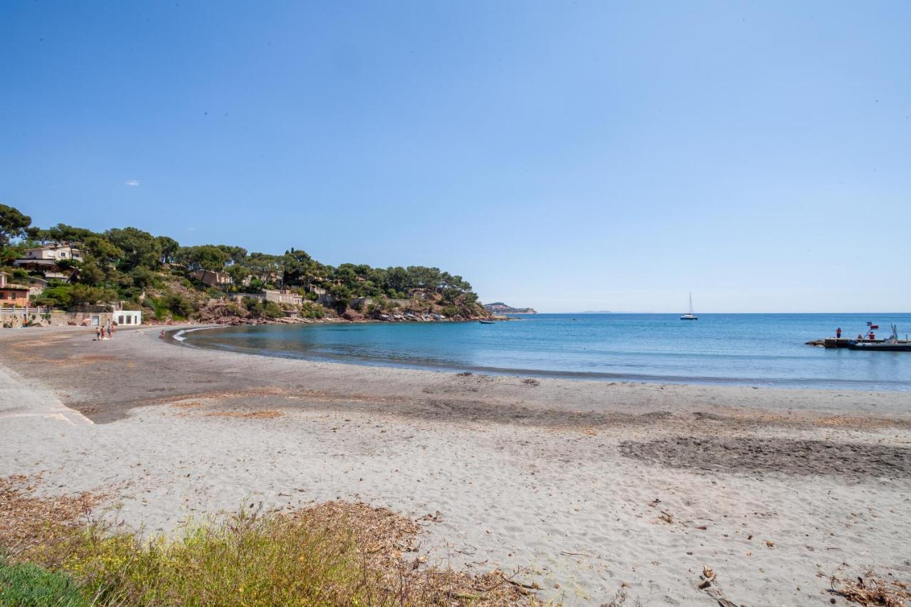 T2 - La Seyne Sur Mer - Fabregas Экстерьер фото