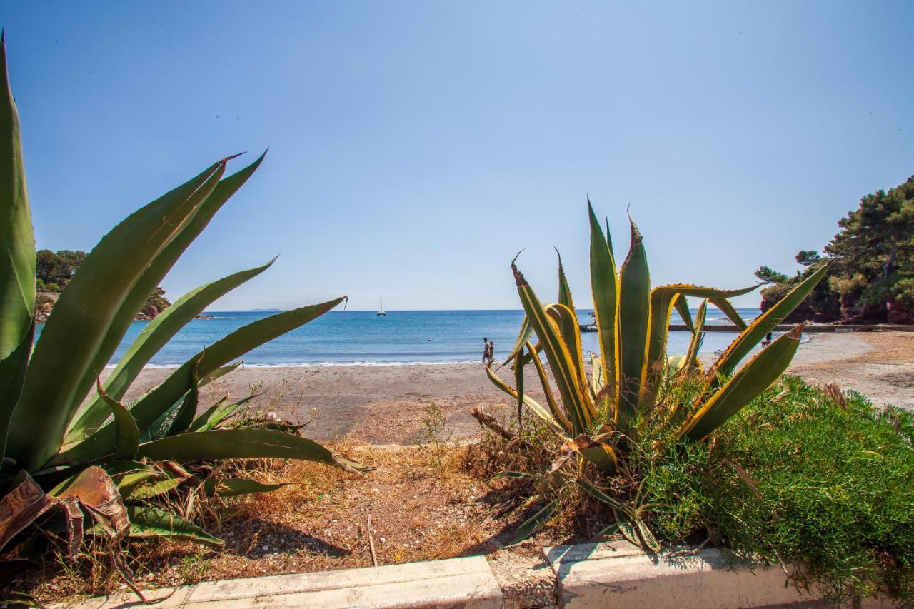 T2 - La Seyne Sur Mer - Fabregas Экстерьер фото